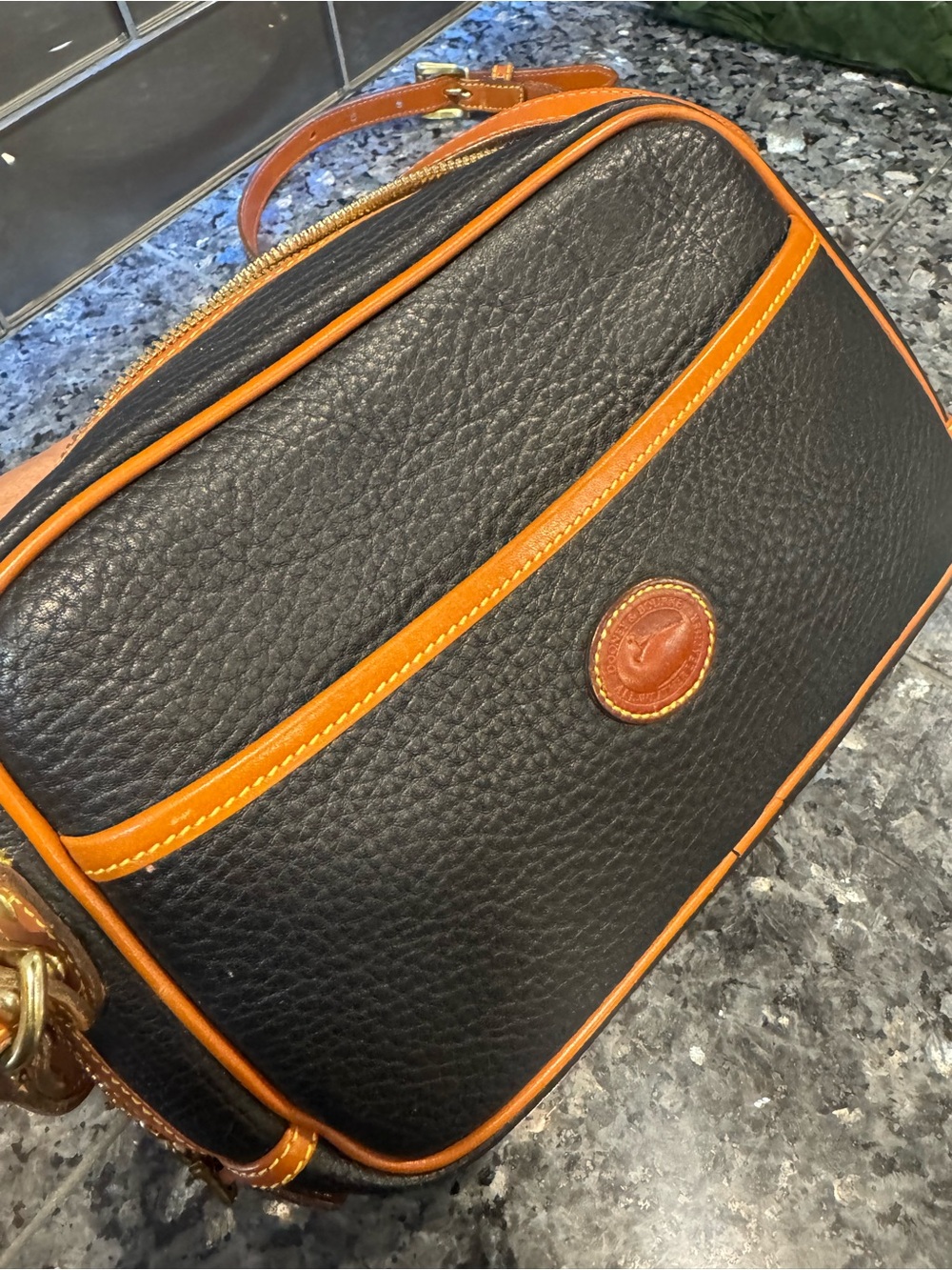 Vintage Dooney & Bourke R217 Camera Bag All Weather Leather